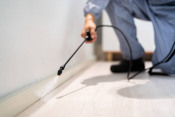 Licensed Termite Control service in Merrillville, IN - Nex Pest Control