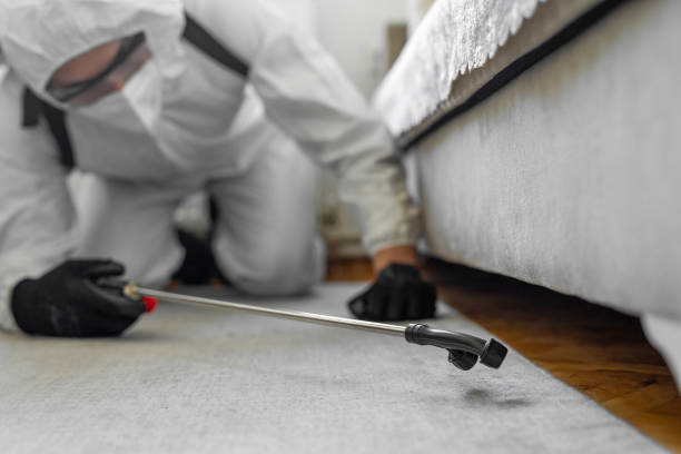 Professional Termite Control technician working in Merrillville, IN