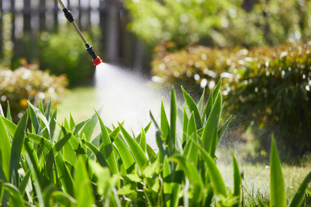 24/7 Emergency Termite Control experts in Merrillville, IN