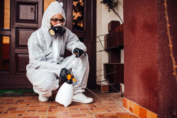 Reliable Termite Control contractor in Merrillville, IN by Nex Pest Control